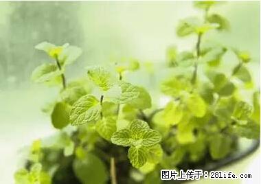 晕车、脚气、牙齿变黄、皮肤粗糙？学会这些三分钟搞定！ - 哈尔滨生活资讯 - 哈尔滨28生活网 hrb.28life.net