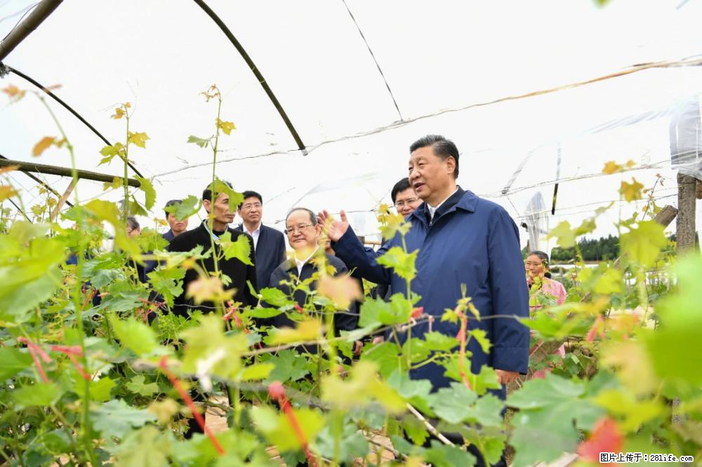 习近平赴广西考察调研 - 哈尔滨生活资讯 - 哈尔滨28生活网 hrb.28life.net