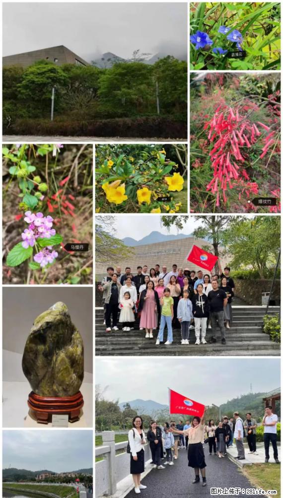 “粤灌文化 美好生活”油茶文化主题活动在广东深圳成功举办 - 哈尔滨生活资讯 - 哈尔滨28生活网 hrb.28life.net