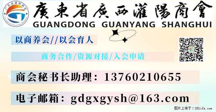 “粤灌文化 美好生活”油茶文化主题活动在广东深圳成功举办 - 哈尔滨生活资讯 - 哈尔滨28生活网 hrb.28life.net