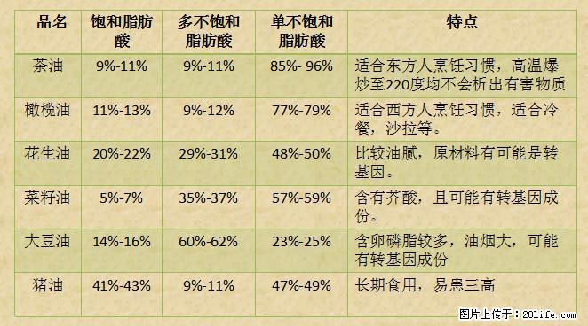 揭秘茶油的5大核心营养成分！被称为人体健康的“守护盾”！ - 哈尔滨生活资讯 - 哈尔滨28生活网 hrb.28life.net