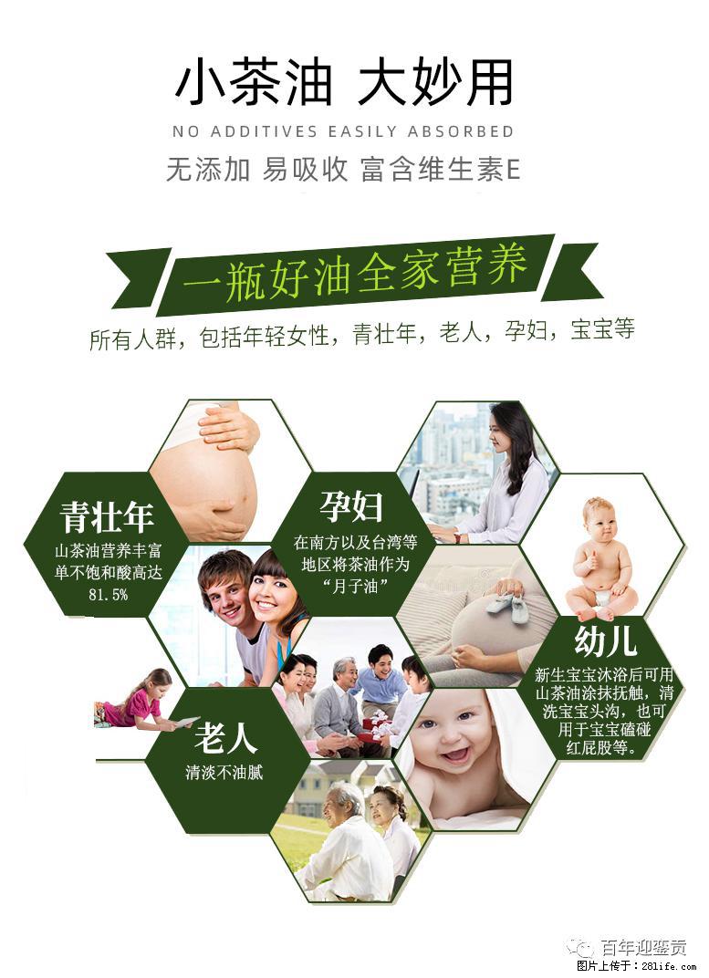 世界没有真相，只有认知，最好的食用油是中国的山茶油！ - 哈尔滨生活资讯 - 哈尔滨28生活网 hrb.28life.net
