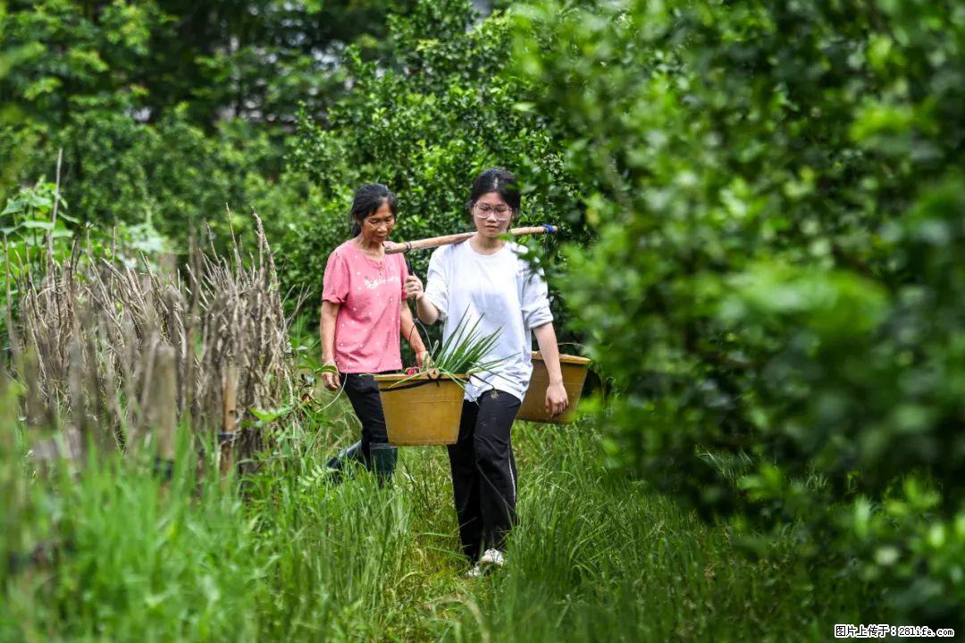 全网追的“扁担女孩”，找了一份暑假工，时薪12元 - 哈尔滨生活资讯 - 哈尔滨28生活网 hrb.28life.net