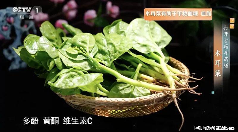 比牛奶补钙还厉害！凉血解毒、稳血糖...这菜冬天必吃，很多人却当草 - 哈尔滨生活资讯 - 哈尔滨28生活网 hrb.28life.net