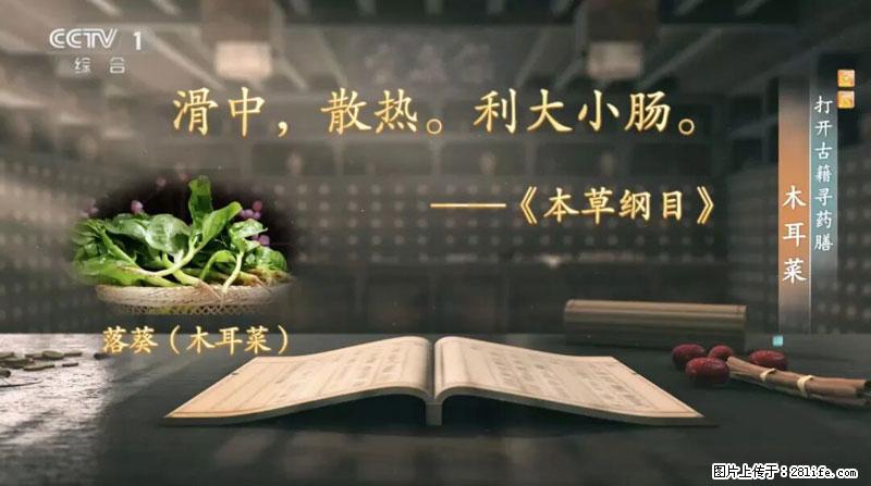 比牛奶补钙还厉害！凉血解毒、稳血糖...这菜冬天必吃，很多人却当草 - 哈尔滨生活资讯 - 哈尔滨28生活网 hrb.28life.net