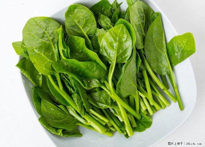 这些蔬菜是“天然钙片”，这6种被医生重点推荐 - 哈尔滨生活资讯 - 哈尔滨28生活网 hrb.28life.net