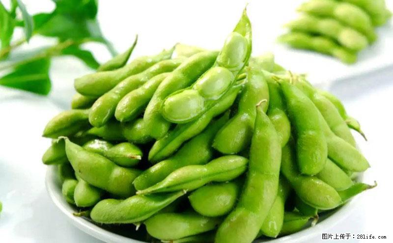 这些蔬菜是“天然钙片”，这6种被医生重点推荐 - 哈尔滨生活资讯 - 哈尔滨28生活网 hrb.28life.net