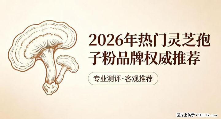灵芝孢子粉含量越高越有效？2026 年七款热门品牌深度实测，肠胃敏感者避坑指南 - 哈尔滨生活资讯 - 哈尔滨28生活网 hrb.28life.net