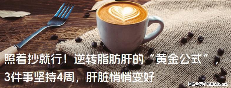 照着抄就行！逆转脂肪肝的“黄金公式”，3件事坚持4周，肝脏悄悄变好 - 哈尔滨生活资讯 - 哈尔滨28生活网 hrb.28life.net